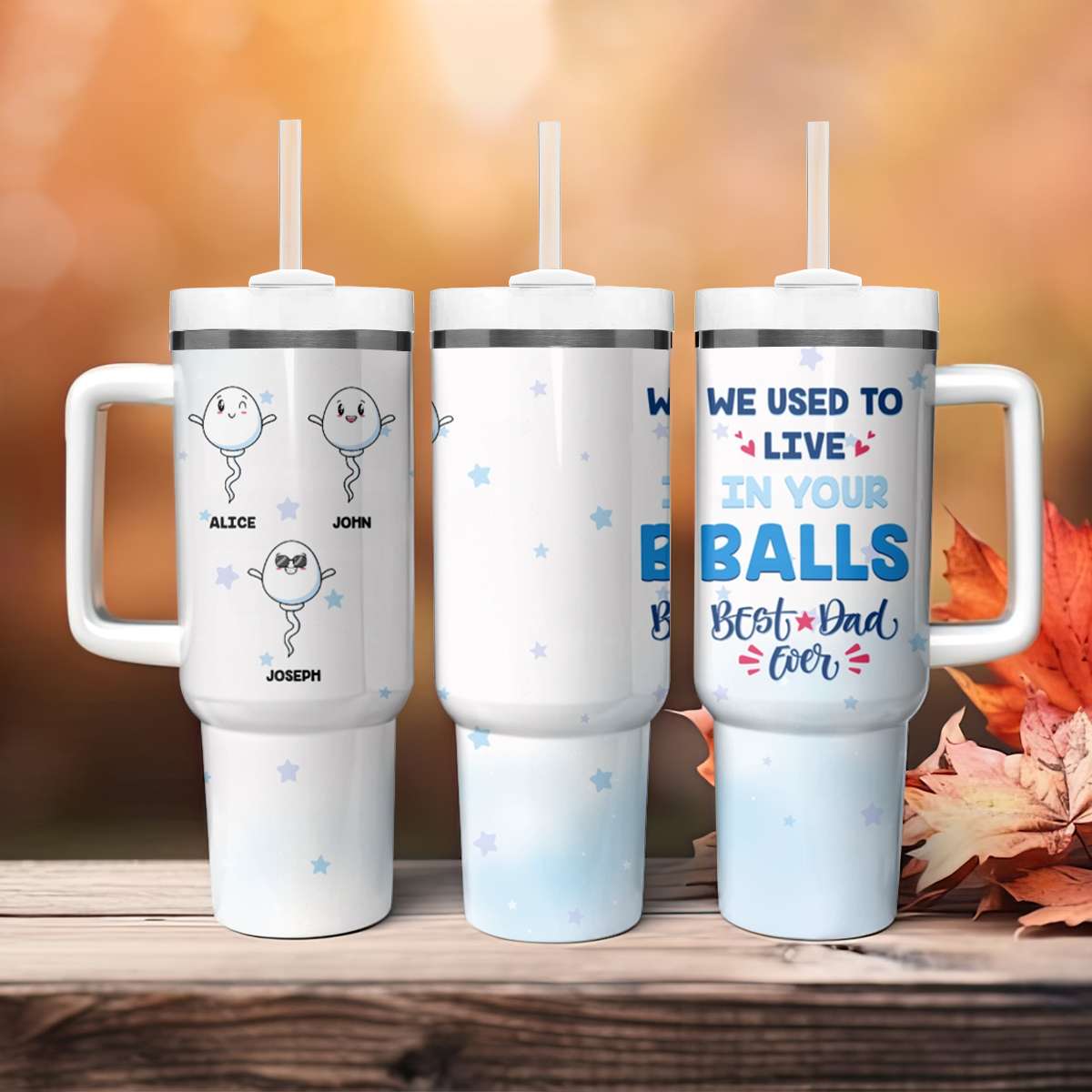 Custom Father's Day Tumbler With Handle We Used To Live In Your Balls | Wonder Print Shop