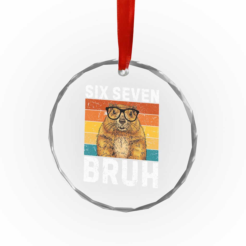 67 Groundhog Meme Crystal Glass Ornament Funny Six Seven Bruh Groundhog Day - Wonder Print Shop