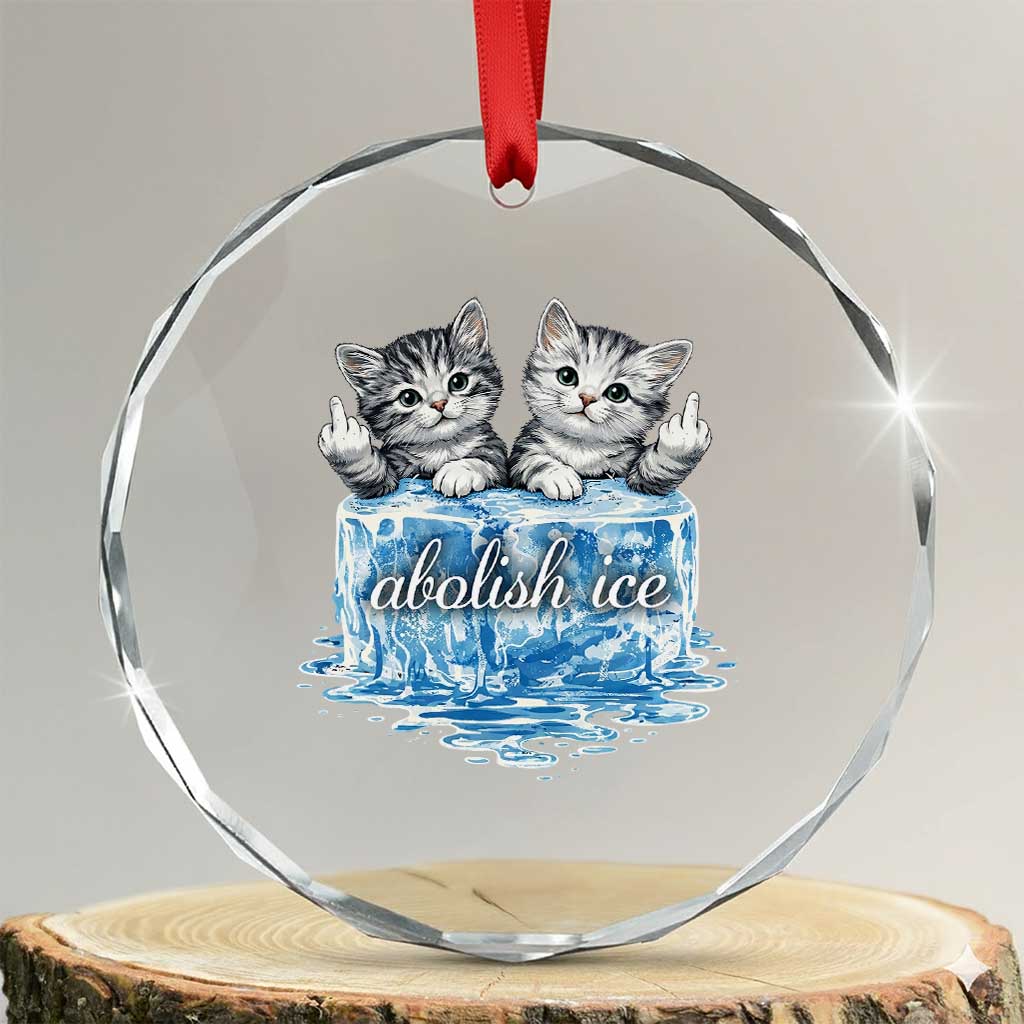 Abolish Ice Crystal Glass Ornament Cute Cat Melting Ice Pro Immigrant