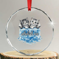 Abolish Ice Crystal Glass Ornament Cute Cat Melting Ice Pro Immigrant