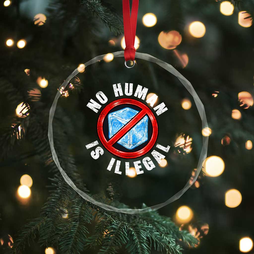 Abolish Ice No Human is Illegal Crystal Glass Ornament Retro Protest Subtle FDT