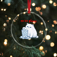 Abolish Ice Protest Crystal Glass Ornament Subtle FDT Cat Meme No Ice Please