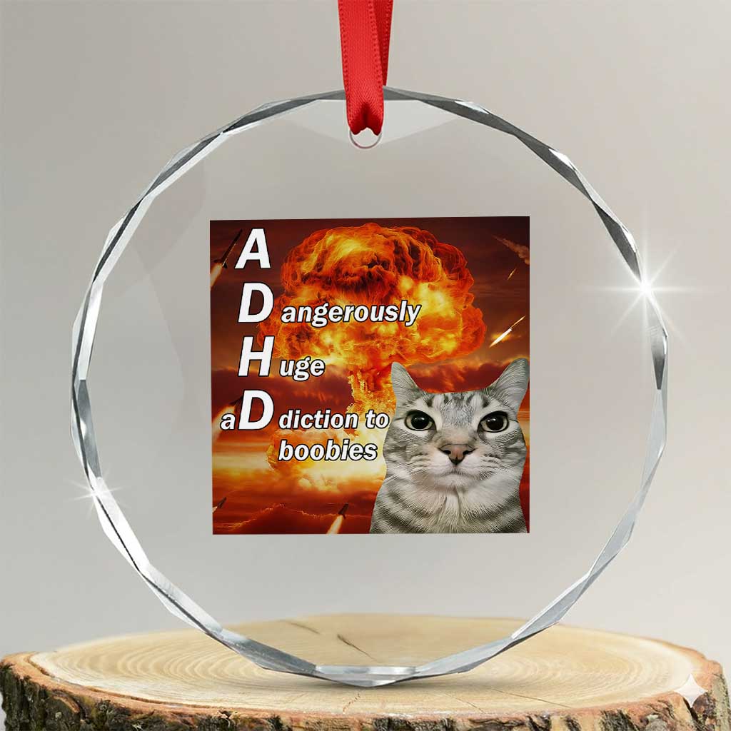 ADHD Cat Meme Crystal Glass Ornament Funny Kitty Flames Neurodivergent Gen Z TS10