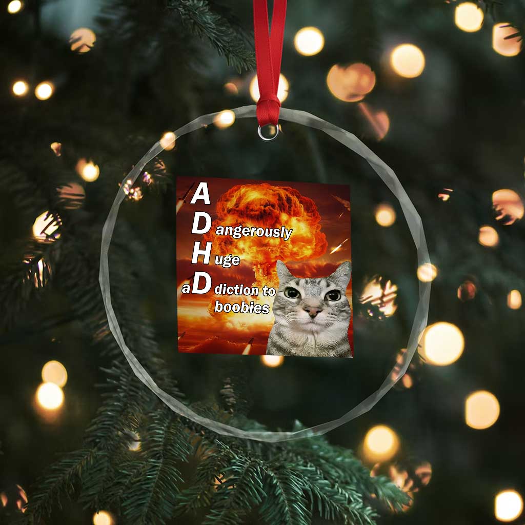 ADHD Cat Meme Crystal Glass Ornament Funny Kitty Flames Neurodivergent Gen Z TS10