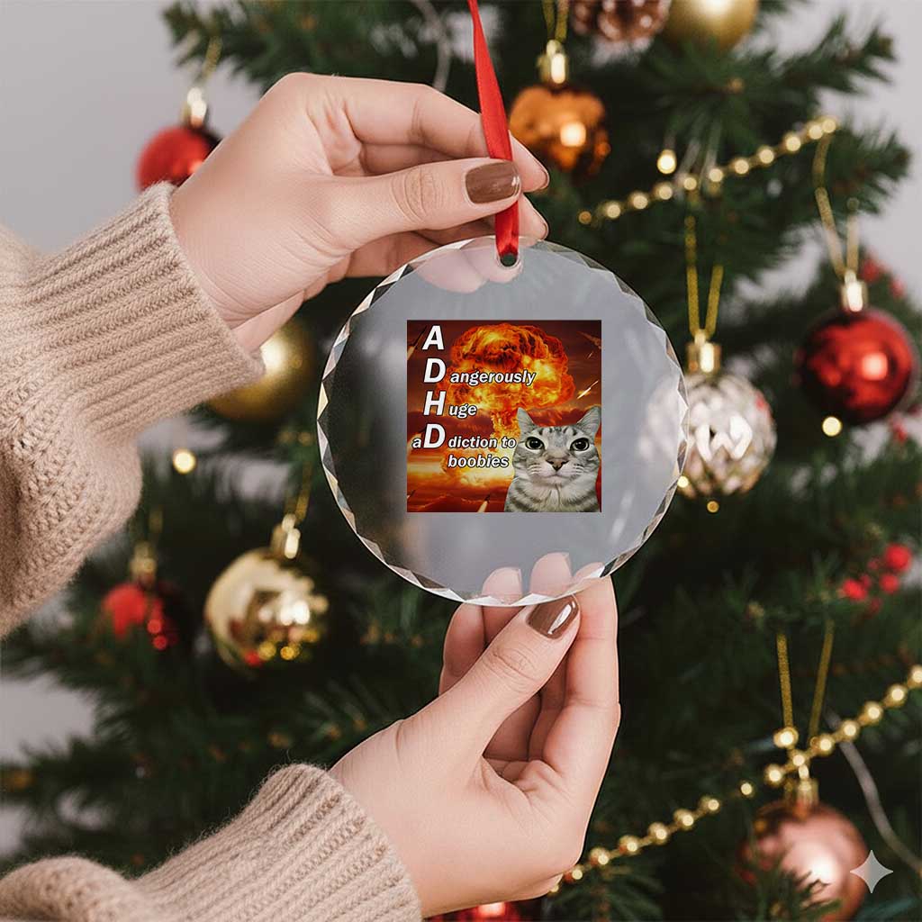 ADHD Cat Meme Crystal Glass Ornament Funny Kitty Flames Neurodivergent Gen Z TS10