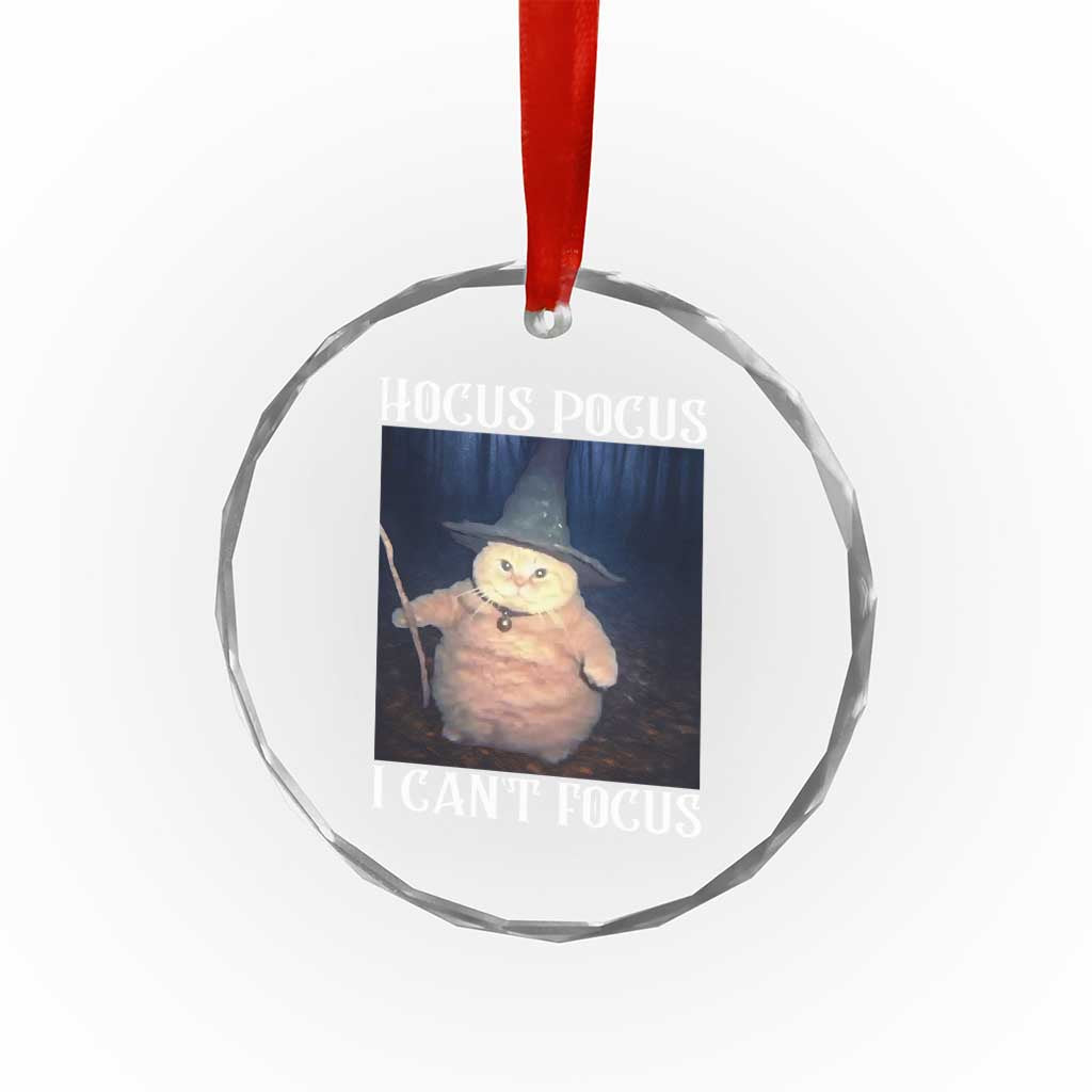 ADHD Cat Meme Crystal Glass Ornament Neurodivergent Wizard Cat I Cant Focus TS10