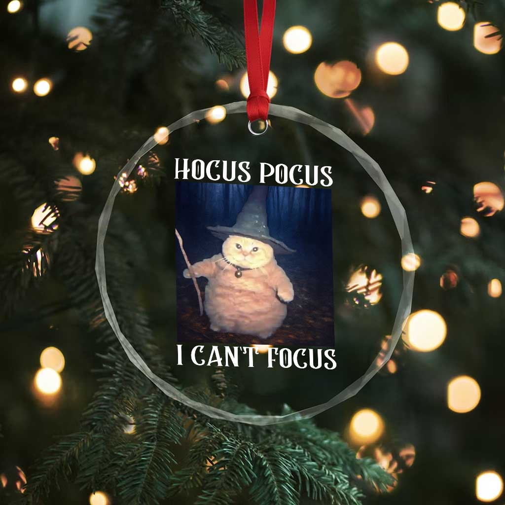 ADHD Cat Meme Crystal Glass Ornament Neurodivergent Wizard Cat I Cant Focus TS10