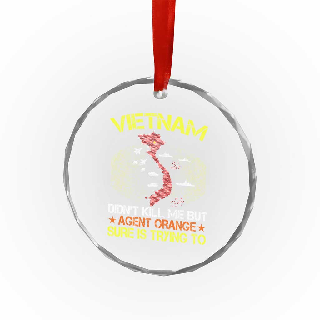 Agent Orange Dioxin Crystal Glass Ornament Vietnam Veteran Vet Gifts - Wonder Print Shop