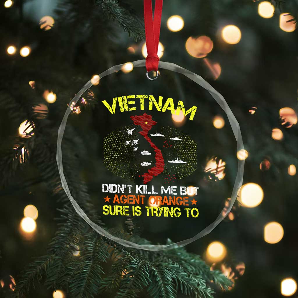 Agent Orange Dioxin Crystal Glass Ornament Vietnam Veteran Vet Gifts - Wonder Print Shop