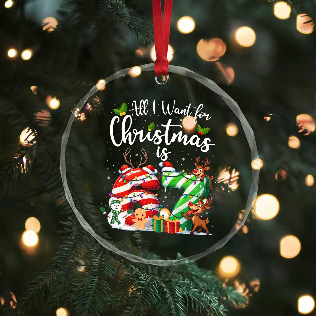 All I Want For Christmas Is 67 Crystal Glass Ornament Trending Meme Holiday Gift - Wonder Print Shop