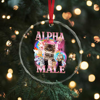 Alpha Male Cat Crystal Glass Ornament Funny Rainbow Kitten Meme Bootleg