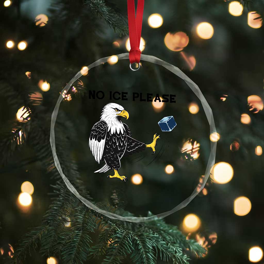 American Eagle No Ice Please Crystal Glass Ornament Minneapolis Support Gift