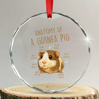 Anatomy Of A Guinea Pig Crystal Glass Ornament Funny Cavy Lover Animal Anatomy Gift - Wonder Print Shop
