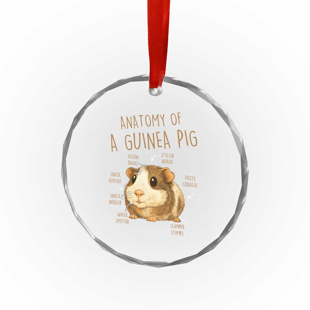 Anatomy Of A Guinea Pig Crystal Glass Ornament Funny Cavy Lover Animal Anatomy Gift - Wonder Print Shop