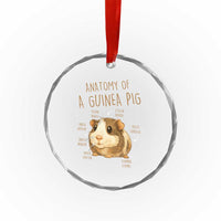 Anatomy Of A Guinea Pig Crystal Glass Ornament Funny Cavy Lover Animal Anatomy Gift - Wonder Print Shop