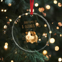 Anatomy Of A Guinea Pig Crystal Glass Ornament Funny Cavy Lover Animal Anatomy Gift - Wonder Print Shop