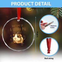 Anatomy Of A Guinea Pig Crystal Glass Ornament Funny Cavy Lover Animal Anatomy Gift - Wonder Print Shop