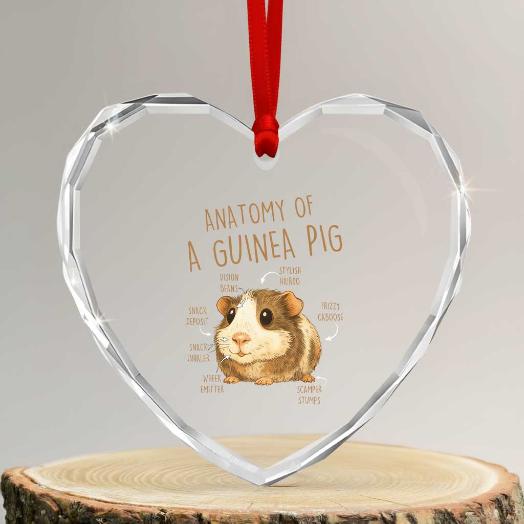 Anatomy Of A Guinea Pig Heart Crystal Glass Ornament Funny Cavy Lover Animal Anatomy Gift - Wonder Print Shop