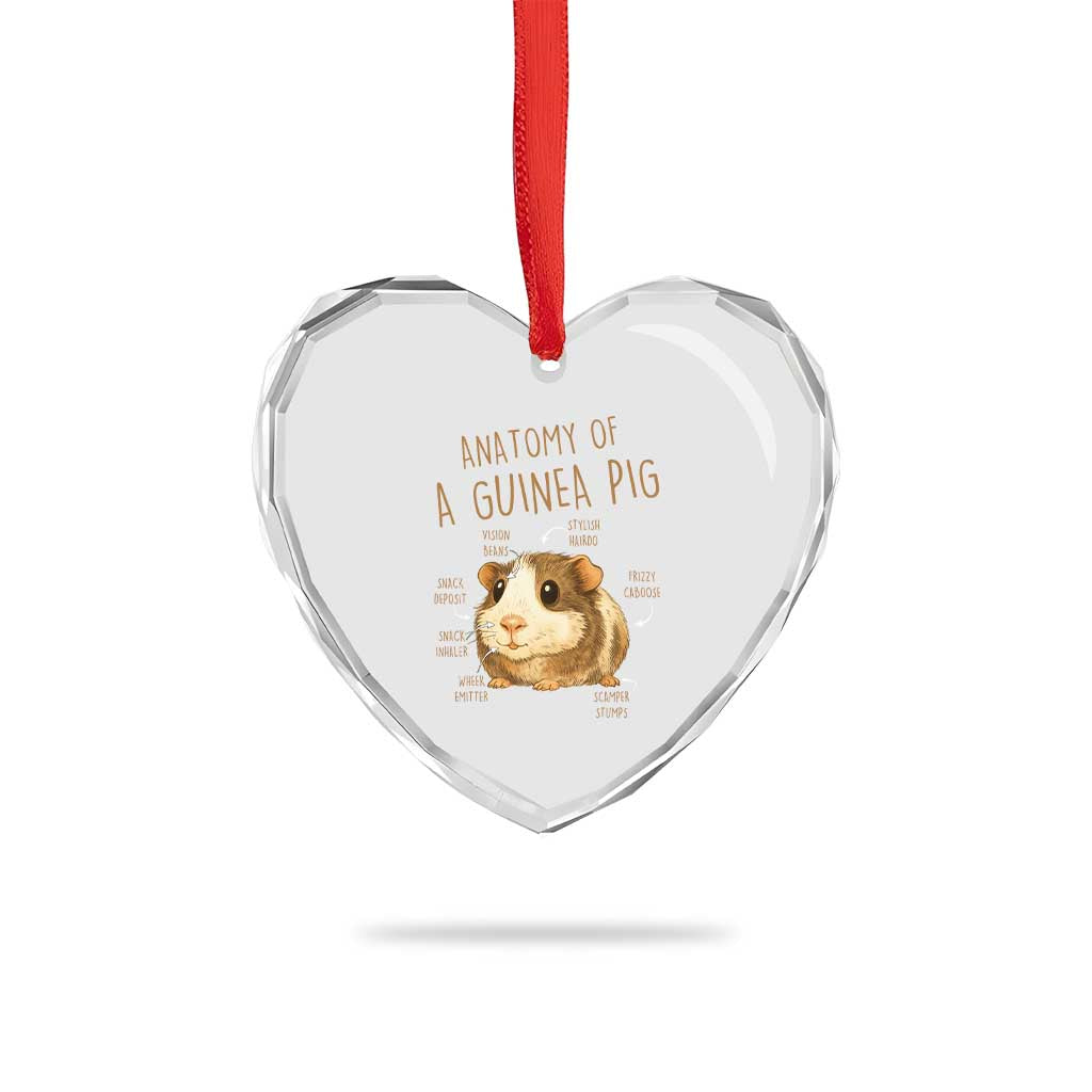 Anatomy Of A Guinea Pig Heart Crystal Glass Ornament Funny Cavy Lover Animal Anatomy Gift - Wonder Print Shop