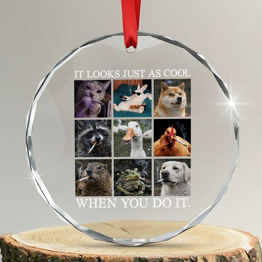 Animals Smoking Cigarettes Meme Crystal Glass Ornament It Looks Just as Cool When You Do It - Wonder Print Shop
