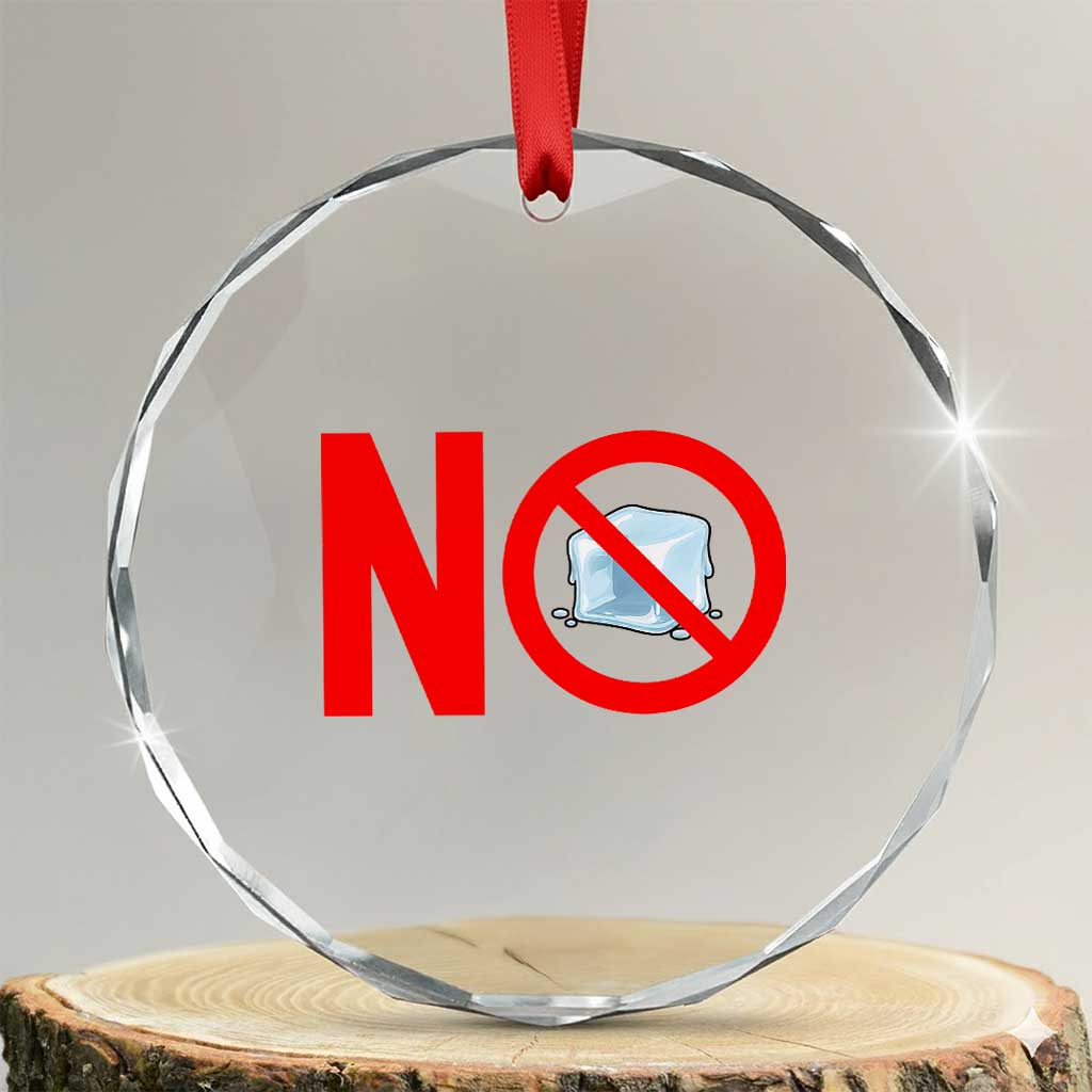 Anti ICE Crystal Glass Ornament No ICE Protest Symbol Anti Immigration Enforcement