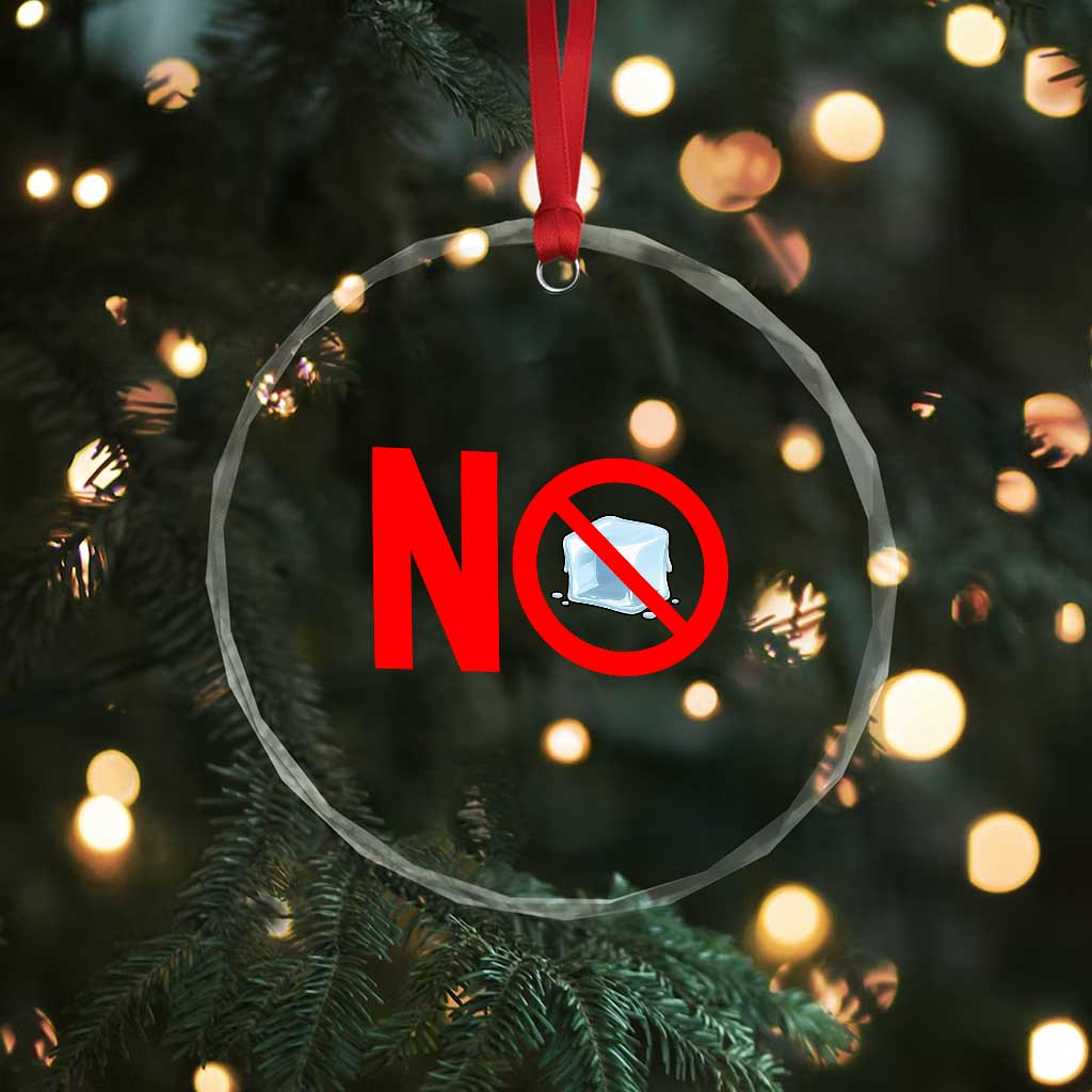 Anti ICE Crystal Glass Ornament No ICE Protest Symbol Anti Immigration Enforcement