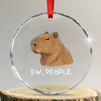 Anti Social Capybara Meme Crystal Glass Ornament Ew People Sarcastic Funny Introvert Gift - Wonder Print Shop