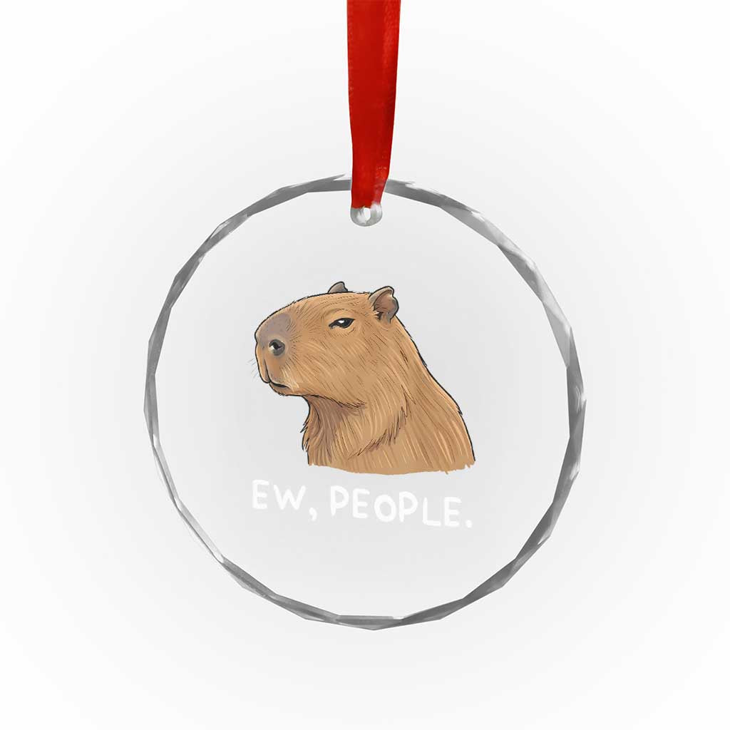 Anti Social Capybara Meme Crystal Glass Ornament Ew People Sarcastic Funny Introvert Gift - Wonder Print Shop