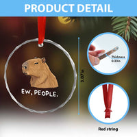 Anti Social Capybara Meme Crystal Glass Ornament Ew People Sarcastic Funny Introvert Gift - Wonder Print Shop