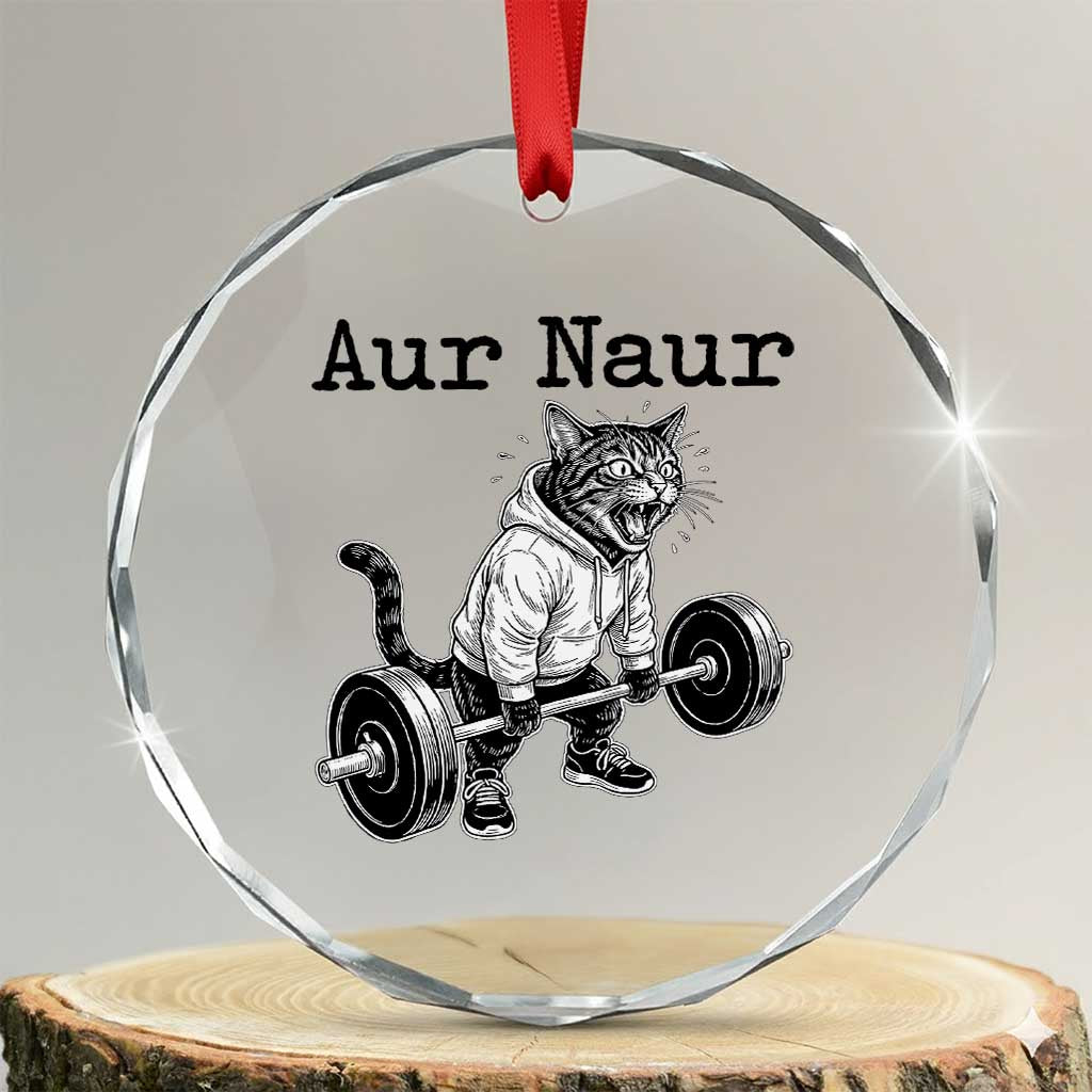 Aur Naur Raccoon Meme Crystal Glass Ornament Funny Sarcastic Oh No Australian Accent