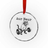 Aur Naur Raccoon Meme Crystal Glass Ornament Funny Sarcastic Oh No Australian Accent