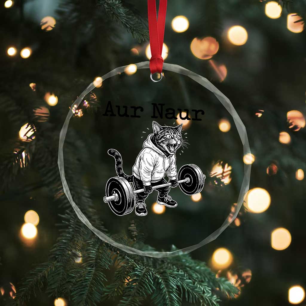Aur Naur Raccoon Meme Crystal Glass Ornament Funny Sarcastic Oh No Australian Accent