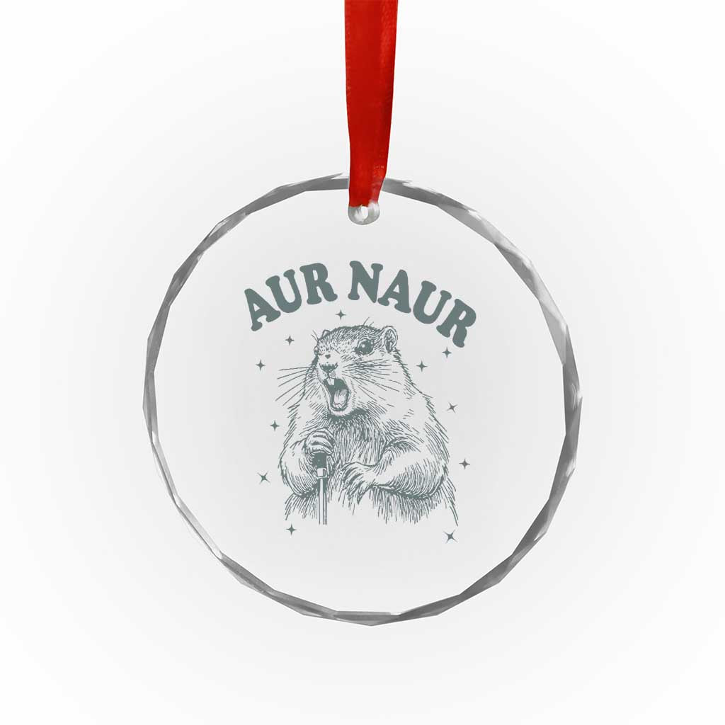 Aur Naur Raccoon St Patricks Day Crystal Glass Ornament Funny Sarcastic Oh No Australian Accent