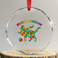 Autism Acceptance Baseball Cat Crystal Glass Ornament It Is Ok To Be Different