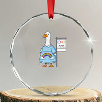 Autism Acceptance Crystal Glass Ornament Neurodivergent Awareness Silly Goose Support