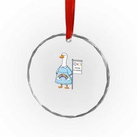 Autism Acceptance Crystal Glass Ornament Neurodivergent Awareness Silly Goose Support