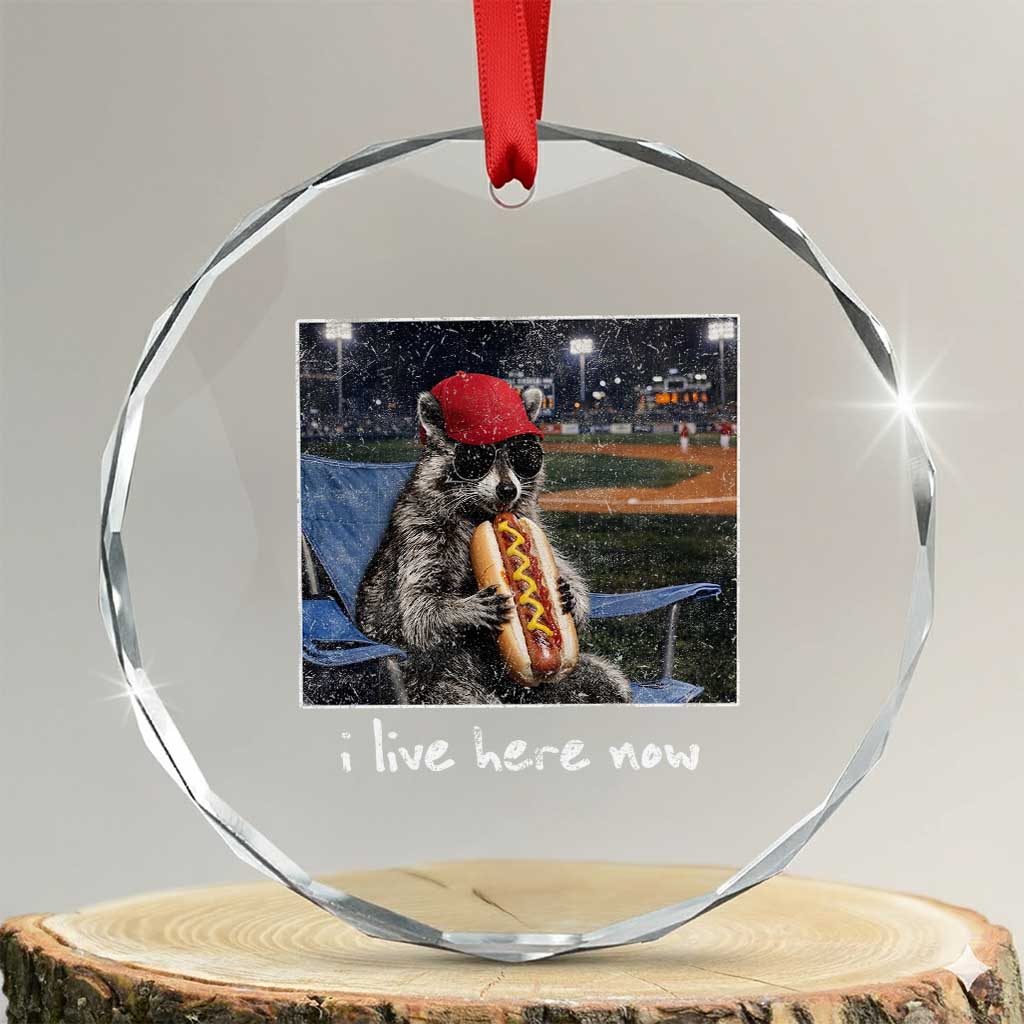Baseball Raccoon I Live Here Now Crystal Glass Ornament Funny Trash Panda Eating Hot Dog Ballfield
