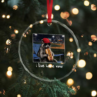 Baseball Raccoon I Live Here Now Crystal Glass Ornament Funny Trash Panda Eating Hot Dog Ballfield