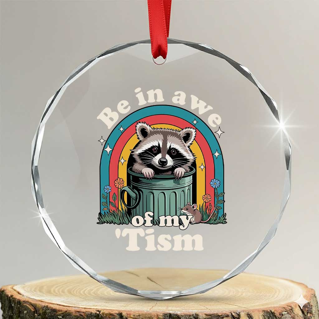 Be in Awe of My Tism Crystal Glass Ornament Funny Raccoon Autism Acceptance