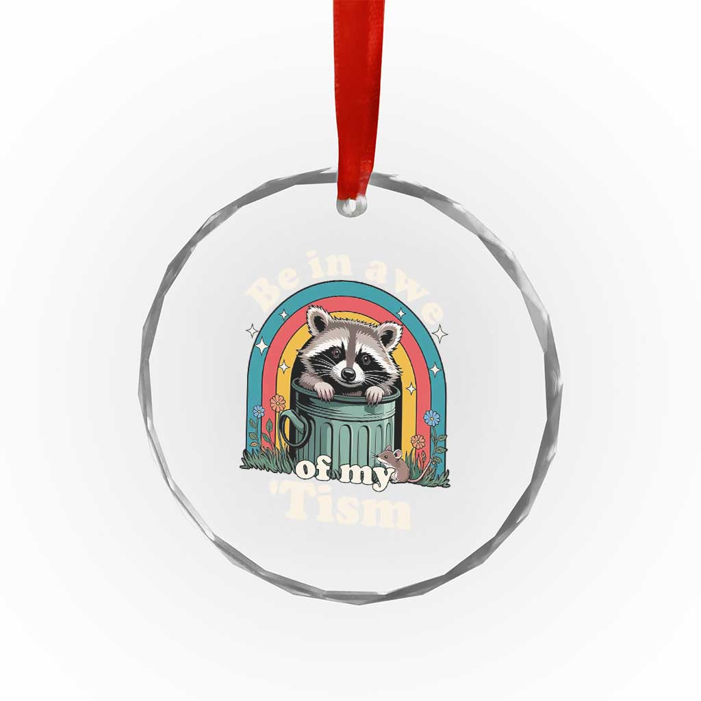 Be in Awe of My Tism Crystal Glass Ornament Funny Raccoon Autism Acceptance
