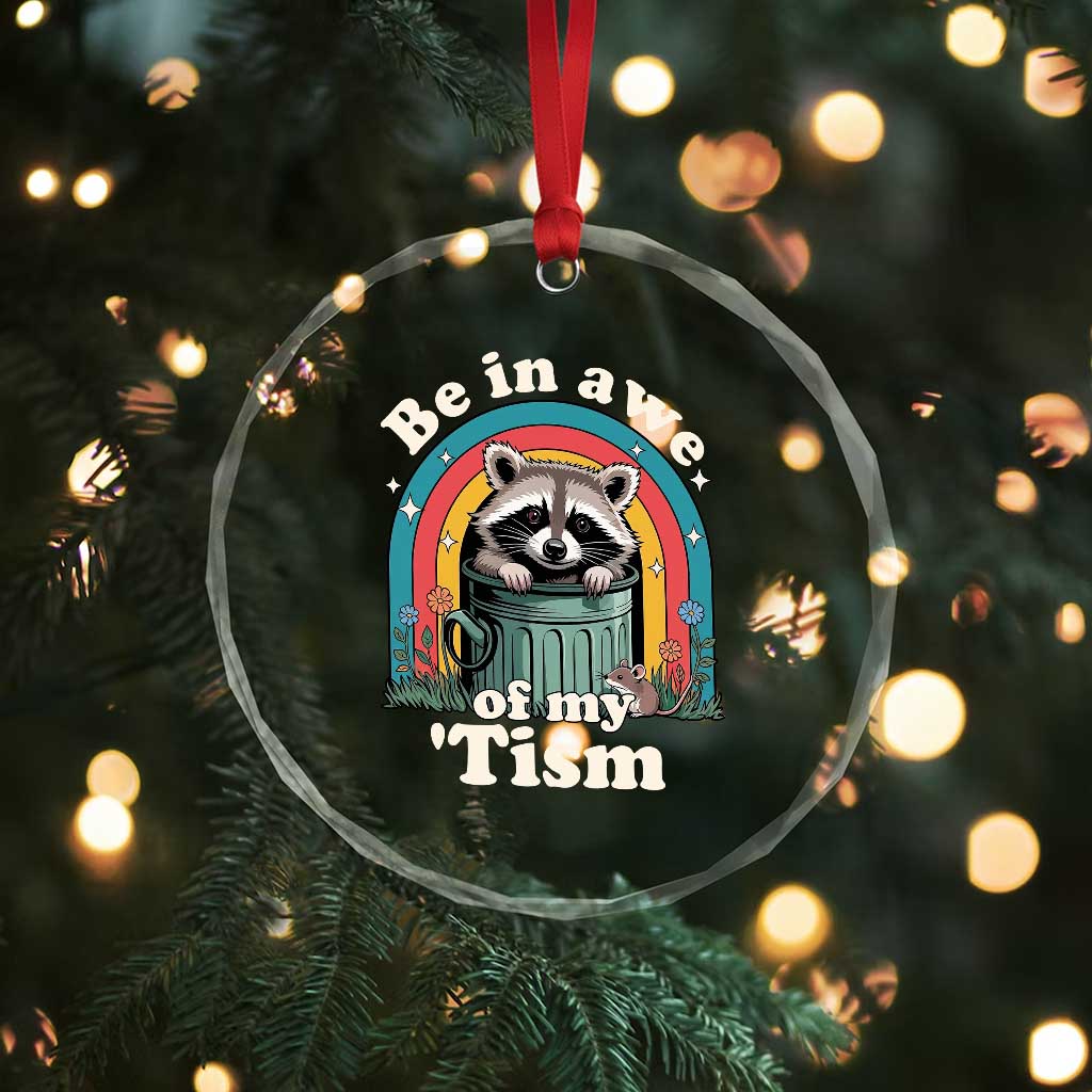 Be in Awe of My Tism Crystal Glass Ornament Funny Raccoon Autism Acceptance