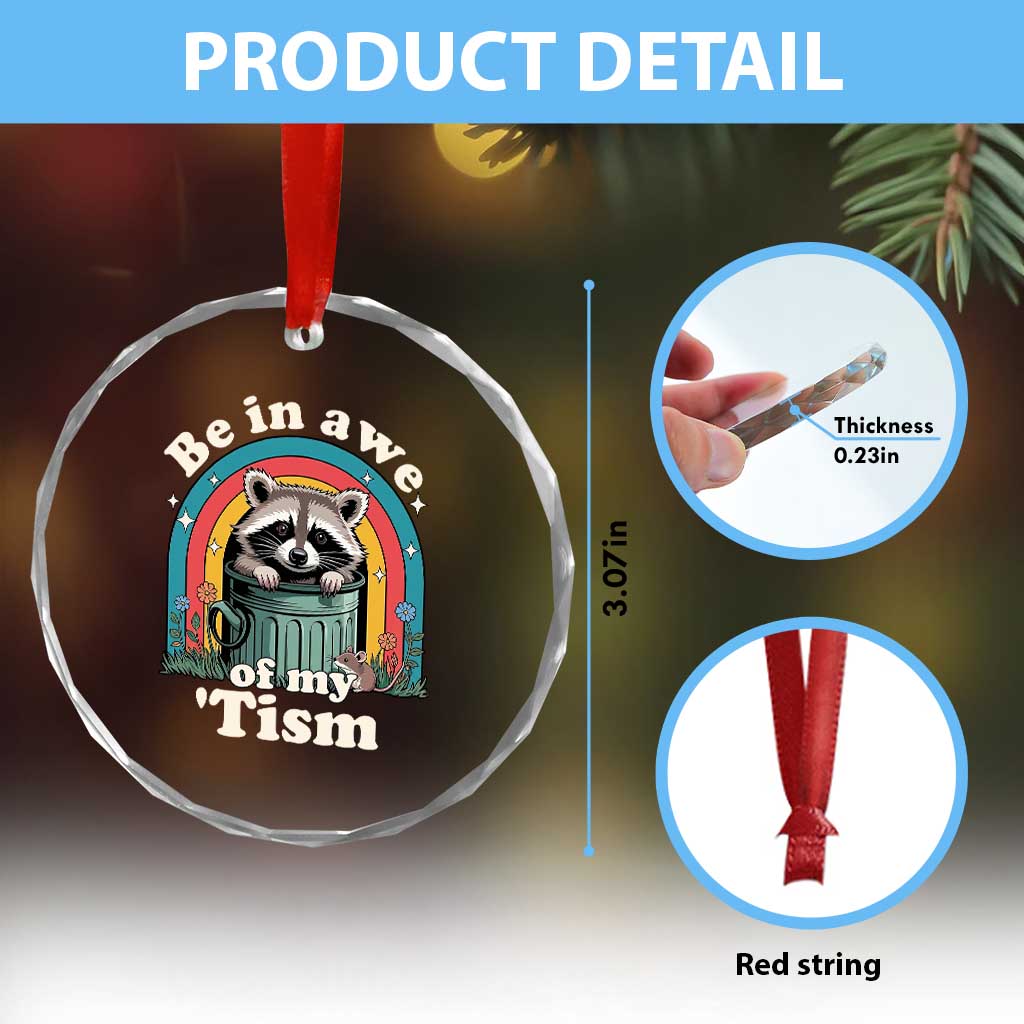 Be in Awe of My Tism Crystal Glass Ornament Funny Raccoon Autism Acceptance