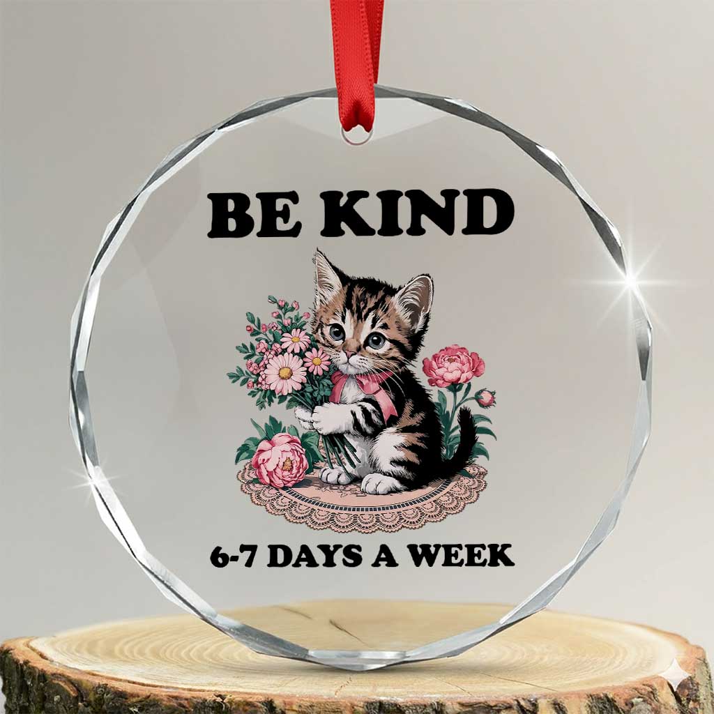 Be Kind 6 7 Days a Week Crystal Glass Ornament Funny Six Seven Cat Teacher Meme - Wonder Print Shop