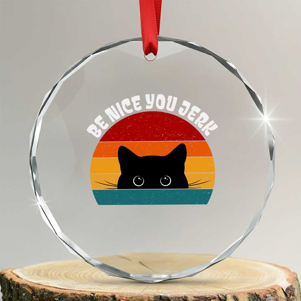 Be Nice You Jerk Crystal Glass Ornament Funny Cat Sarcastic Quote