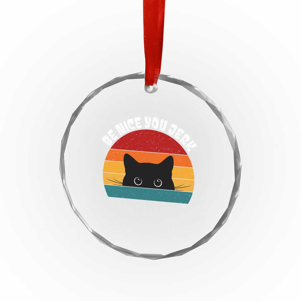 Be Nice You Jerk Crystal Glass Ornament Funny Cat Sarcastic Quote