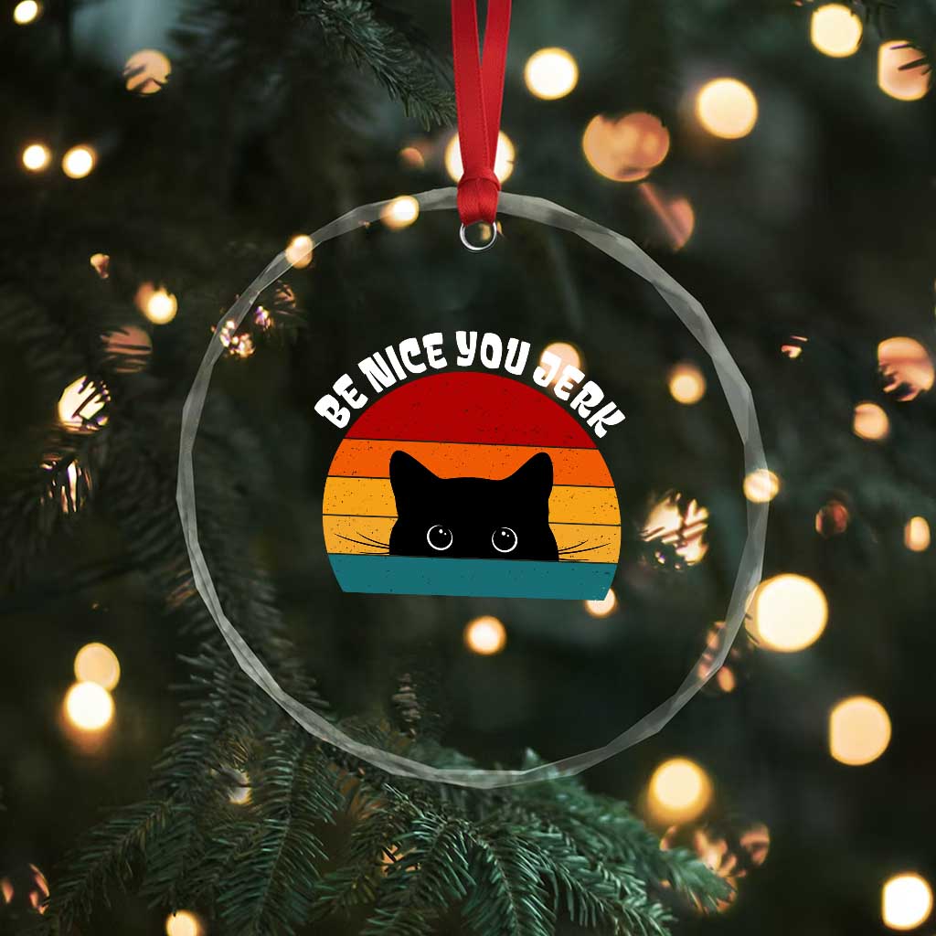 Be Nice You Jerk Crystal Glass Ornament Funny Cat Sarcastic Quote