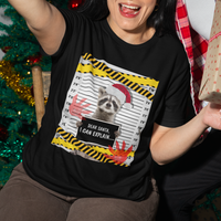 Christmas T Shirt Dear Santa I Can Explain Funny Raccoon Lover - Wonder Print Shop