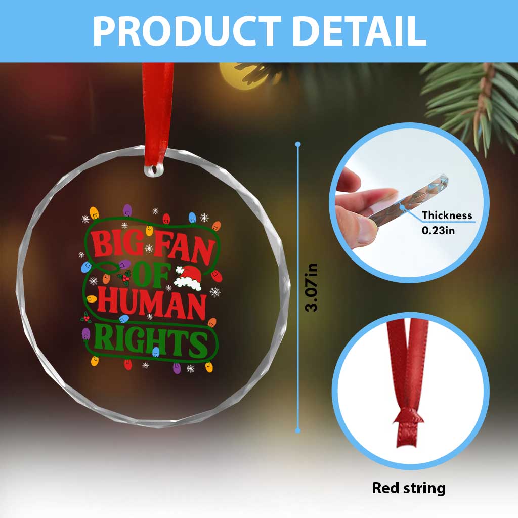 Big Fan Of Human Rights Crystal Glass Ornament Equality Activists Christmas Gift - Wonder Print Shop