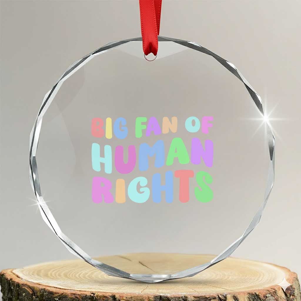 Big Fan Of Human Rights Crystal Glass Ornament Social Justice Equality Activist TS10