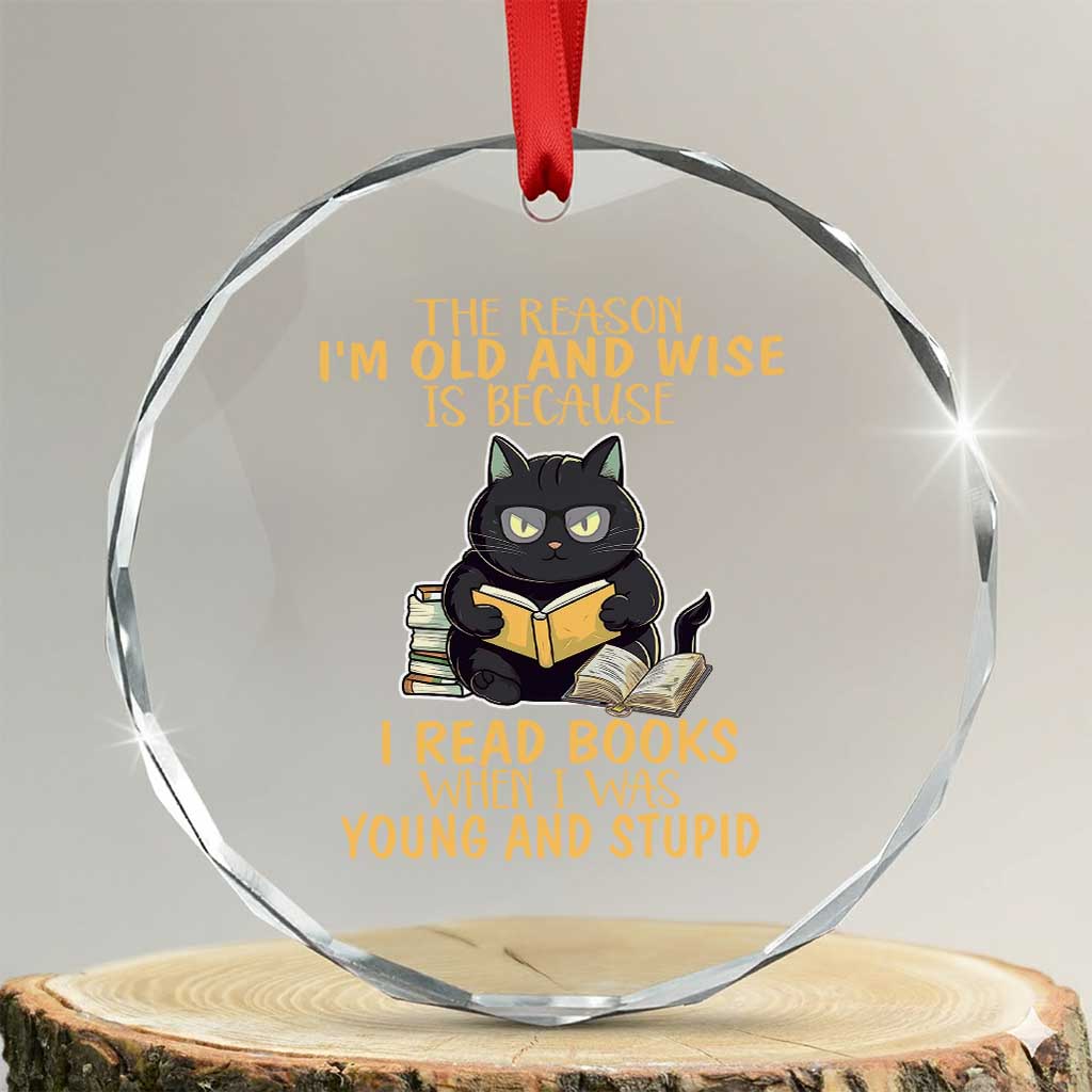 Black Cat Reading Crystal Glass Ornament I'm Old And Wise Because I Read Books When I Was Young And Stupid Funny Reading Lover TS02
